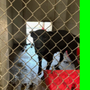 4f62eedd3bf0702afb897477aaf8733e