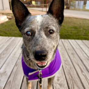 4feb3ba24d11e794e234547908368600