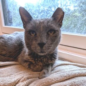 5211e6e6627167dab53e62d4d713bf0d