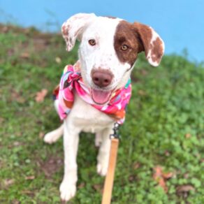 535ddd1f677bf6c45a3cb3c46bb7f074