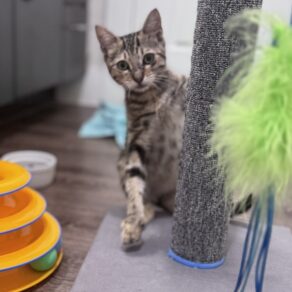 5364397d3bdae4954fbdd0dbfb17009e