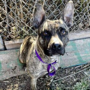 5463459e058597daf369582c1537be97