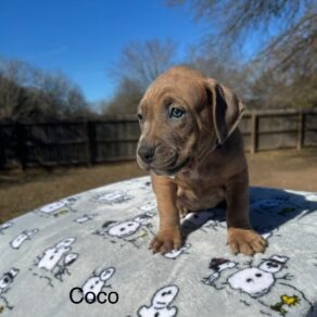 546e736e484f47a9c994079de446ea7e