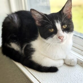 552f400345c7020dc6cb3c4b87db782b