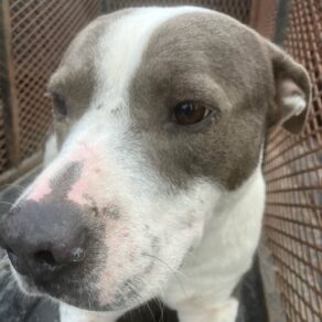 559d3a8e5762171ba231afa3c75cba24