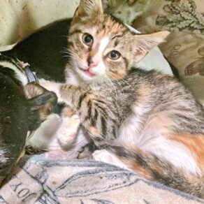 55dd1d1cab7f13b630f594bc97c3762b