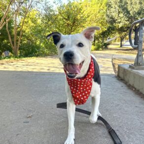 57187fbc015c9fe80c38d1f59262fe72