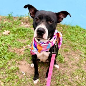 586bd49702de6237657a5ebf6c39478b