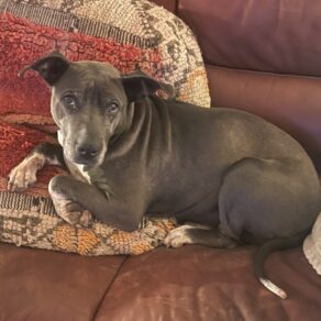 58cf219af6065778c0eb7a94394706c5