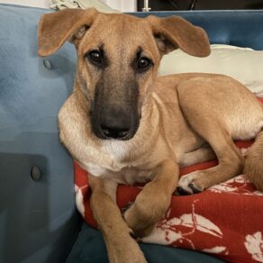 5917a1689a0c4ba2a3d98e2d1c628ef2