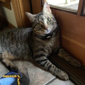 59e42eee8ef23e4719d3d42d29011340