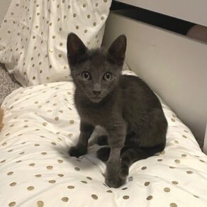 5a439c1840d64df2ec99d15ffa8ee944