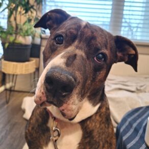 5b04a240ea25d0e71e88314926e8a16b