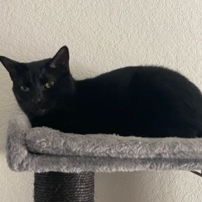 5b112d0f78ba9a65efb629b8a6de066f