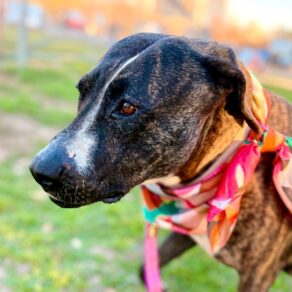 5c48e3ff842e9b57cb2f8c25c68c8d8e