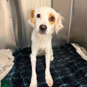 5e7d002839f3c3e4bb80cd5ec4886d1a