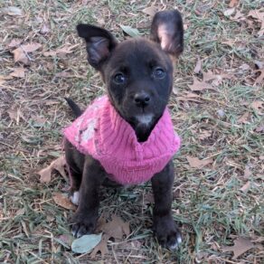 5ff66798074c2b25f7fa3a959b421671