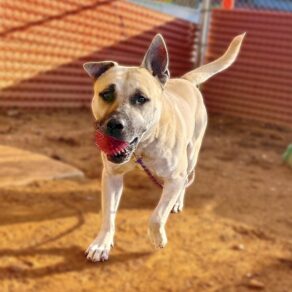 6127d05d9a5a97f3db68047b1a830410