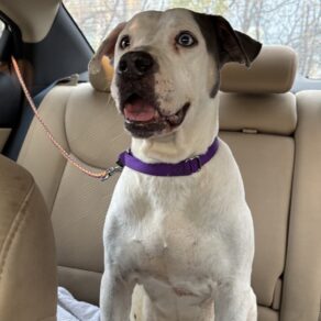 62f83b7fd593f362496c1a99a1f3b725