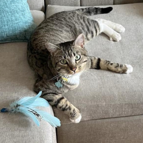 6375f5554b3c9ef72850af572ad7ca5e