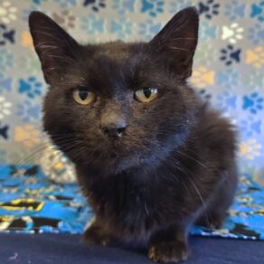 656491e264f5e18901f231bd862e1a5e