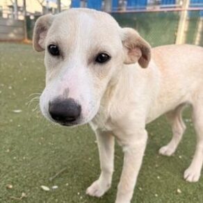 664b92b1ccb24d6ec7c2dc4c3777eebf