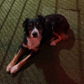 6813d240bebe5b0645c264138e4578b0