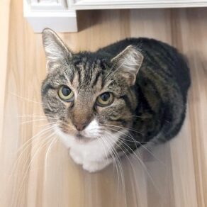 689822993d6b8cf666094c0c0bd0169d