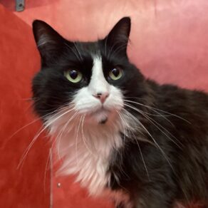 691e83589ae3b41d16b9dc9c6c671ad2