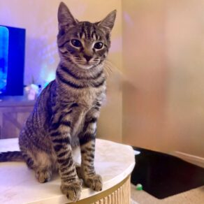 6afdfbad545efb61dea36517d5746a7f