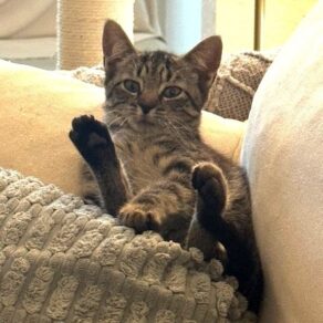 6b6ce851cd02854de48527e5bc84605f