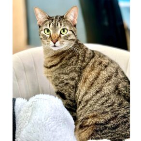 6c4bffd908d76d1e0aa61a45f3a07b41