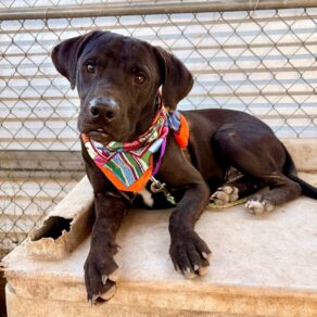 6cacaf83f2a31444cd45de2b7516410a