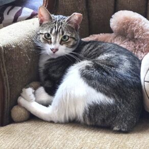 6d35d7f6ab2c904ab2d8ef7e4cae9b66