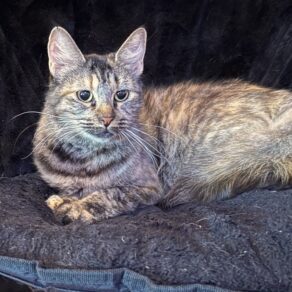 6fb505aa0ae6fcb8308106c0683167cf