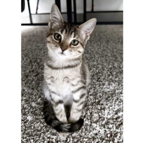 71871a2e3f7e6b8b3de6c06fa4749025