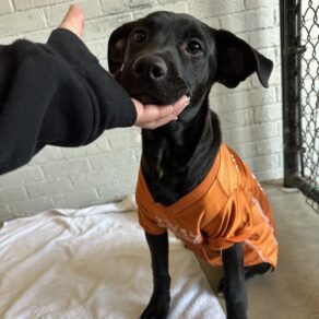 71c7cba6824ee7de6d4c29ca7080e2af