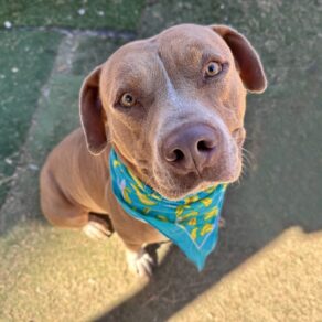 72b41e63731adaecc5d4dc4381a11546