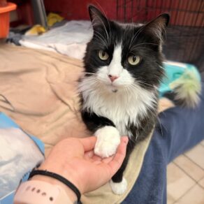 735d318d03eaa175ebcb9d5444f488f8