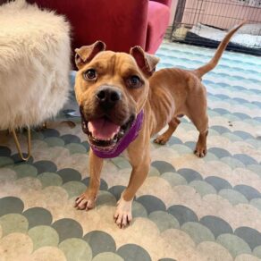 76ac26acdab887790c24df9d33aadade