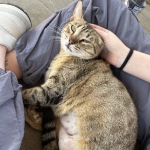 7701ccd8c372e13c34840554016e71e6