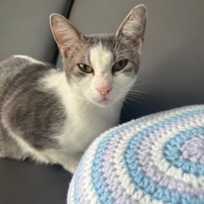 77328f3282e2cdbcb18c0f6f31637dc6