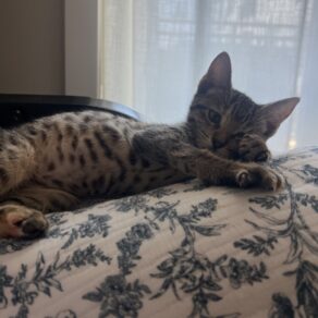 774e13cd6b4b8b567a855453060fd66c