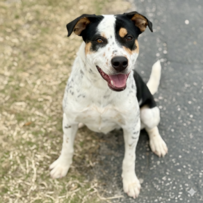 792d1fd8f1b486104b411ac89a43f78c