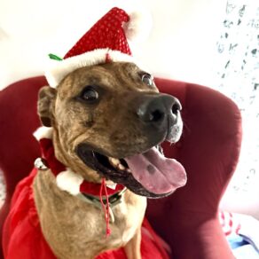 79325e5063a49e8394792184acd5b5cf