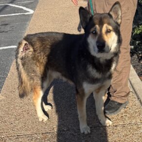 7ac02c00cd27d7ec5a57c0370e11fc5d