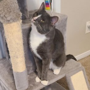 7b6182a26ffb31da8655ddf1041af276