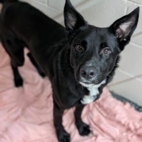 7e7e07813dc4873cea2c3f9b9ad1c6d2