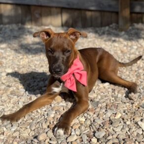 7f02caf407273b01f1aa87f5336386f8