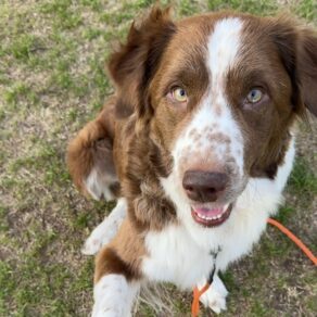 7f6e874de6090c95250d0e5a3a503df6